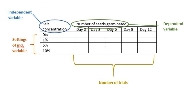 data table