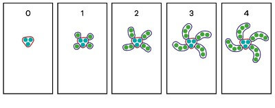 graphical representation of the first stage of a growing pattern pedagogy using the Goompi Model, full image description in Figure 4: Long description