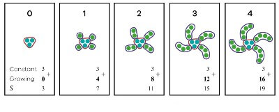 graphical representation of the second stage of a growing pattern pedagogy using the Goompi Model, full image description in Figure 5: Long description