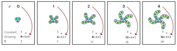 graphical representation of the third stage of a growing pattern pedagogy using the Goompi Model, full image description in body of text